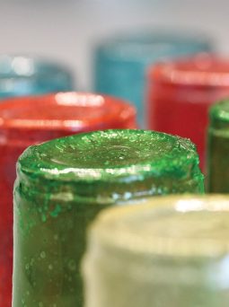 Chitin-based bioplastic