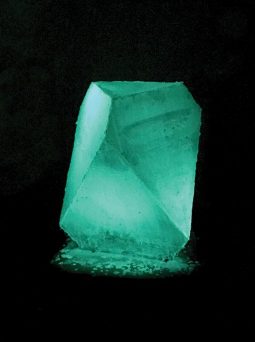 Photoluminescent bioplastic