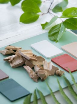 Cellulose-based polymer