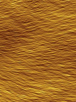 Elastic vanadium pentoxide paper