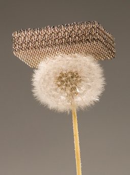 Microlattice metal