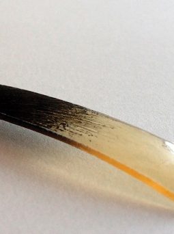 Printable nanosensor coating