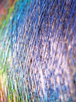 Thermochromic bandage