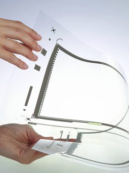 Carbon nanobud film