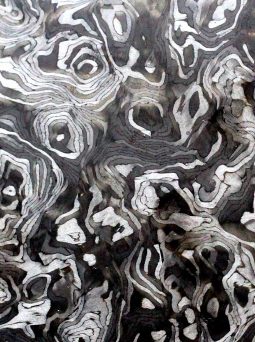Carbonium composite