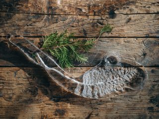 Herbarium