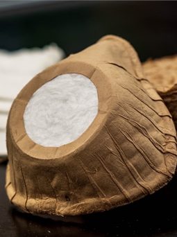 Biodegradable face mask