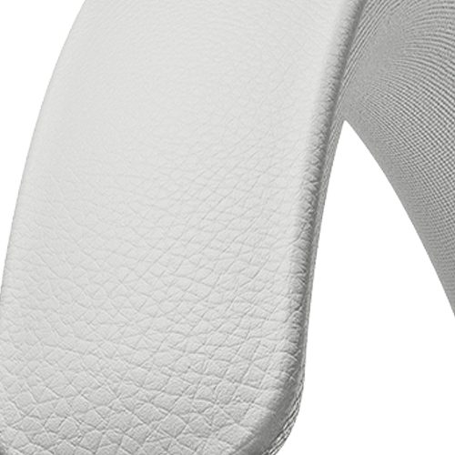 Beoplay H95