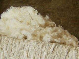 CRAiLAR Flax