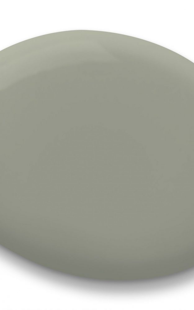 Sherwin Williams: Evergreen Fog