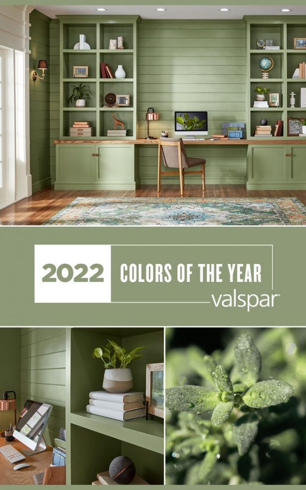 Valspar: Blanched Thyme