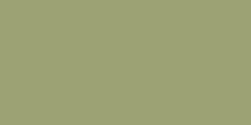 swatch-2022_guacamole