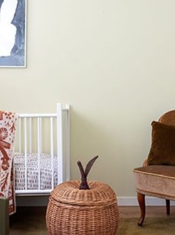 Biora Air purifying paint