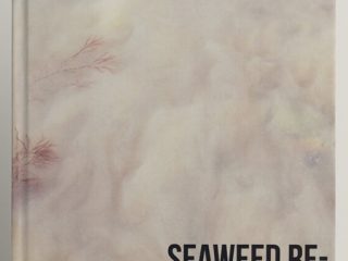 Seaweed Research