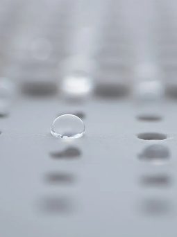 Hydrophobic paper