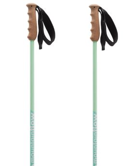Recycled Aluminum ski pole