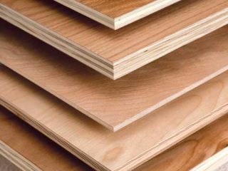 Lyptus Plywood