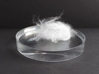 Veocel (Biosoft)