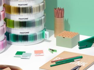 Plastic Standard Chips Collection