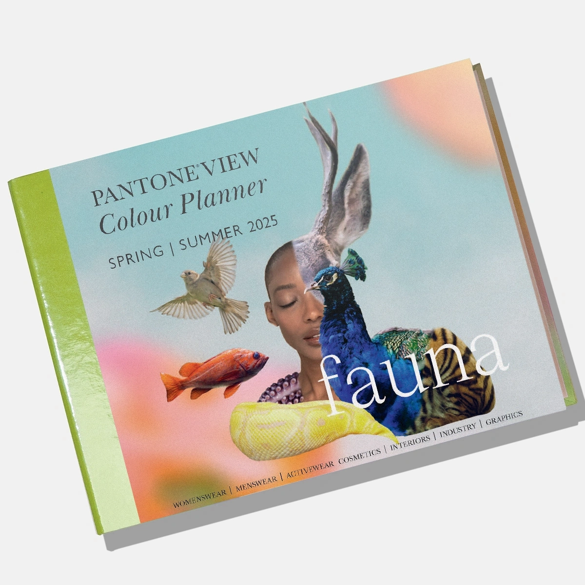 Colour Planner S/S 2025
